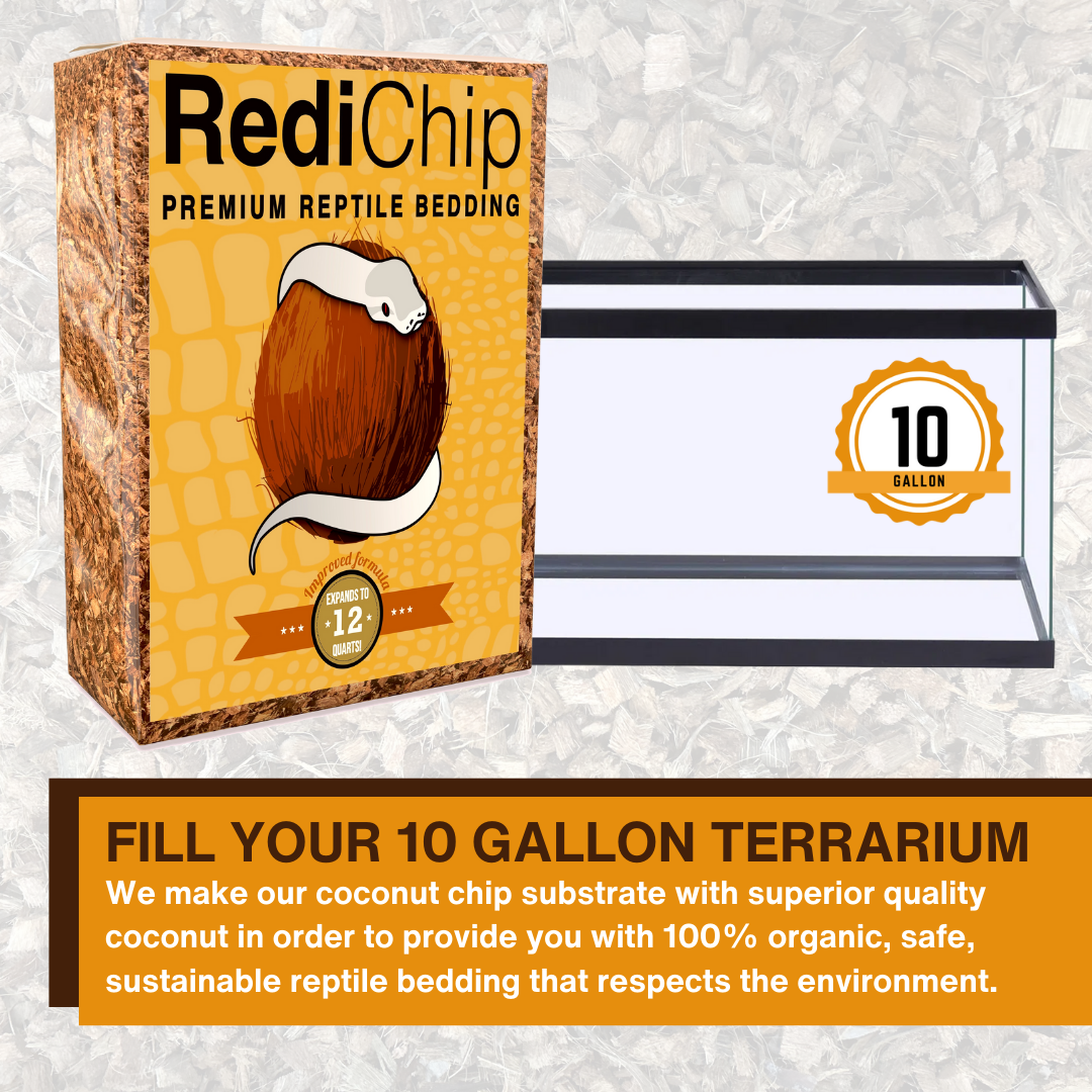 Premium Medium Sized Coconut Chips; Ready to Use