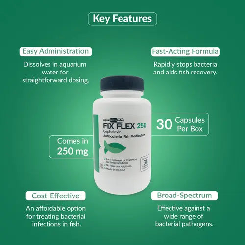 Ceph 250mg Capsules for Aquarium Fish – 30 Count – Water Care Support