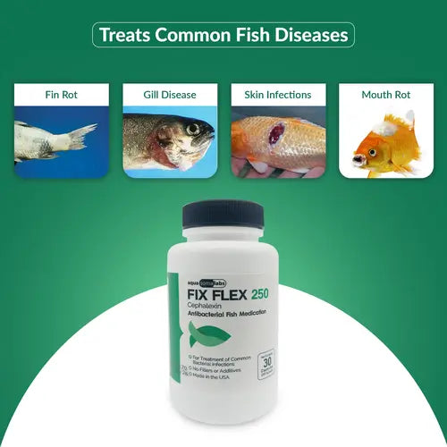 Ceph 250mg Capsules for Aquarium Fish – 30 Count – Water Care Support