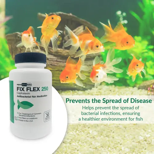 Ceph 250mg Capsules for Aquarium Fish – 30 Count – Water Care Support