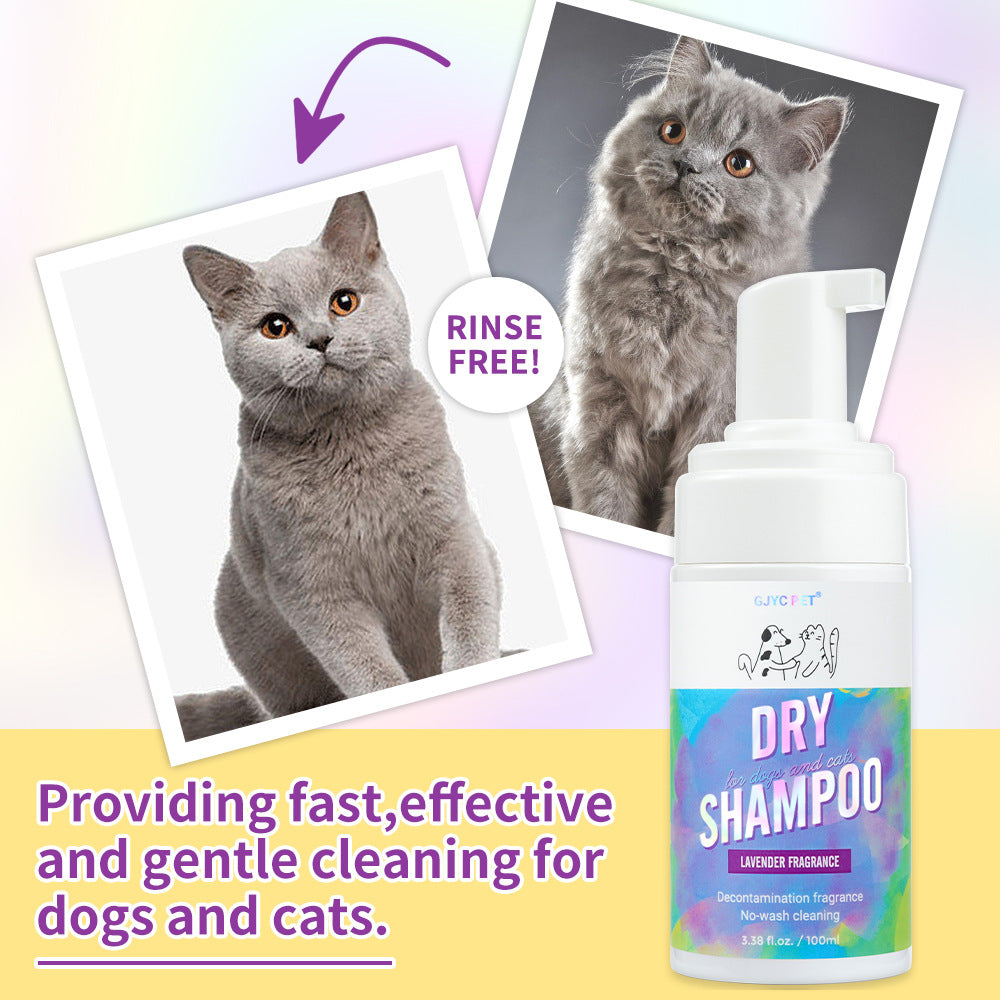 Cat Dry Shampoo Bubbles No Rinse Deodorizing Fragrant Pet Foam