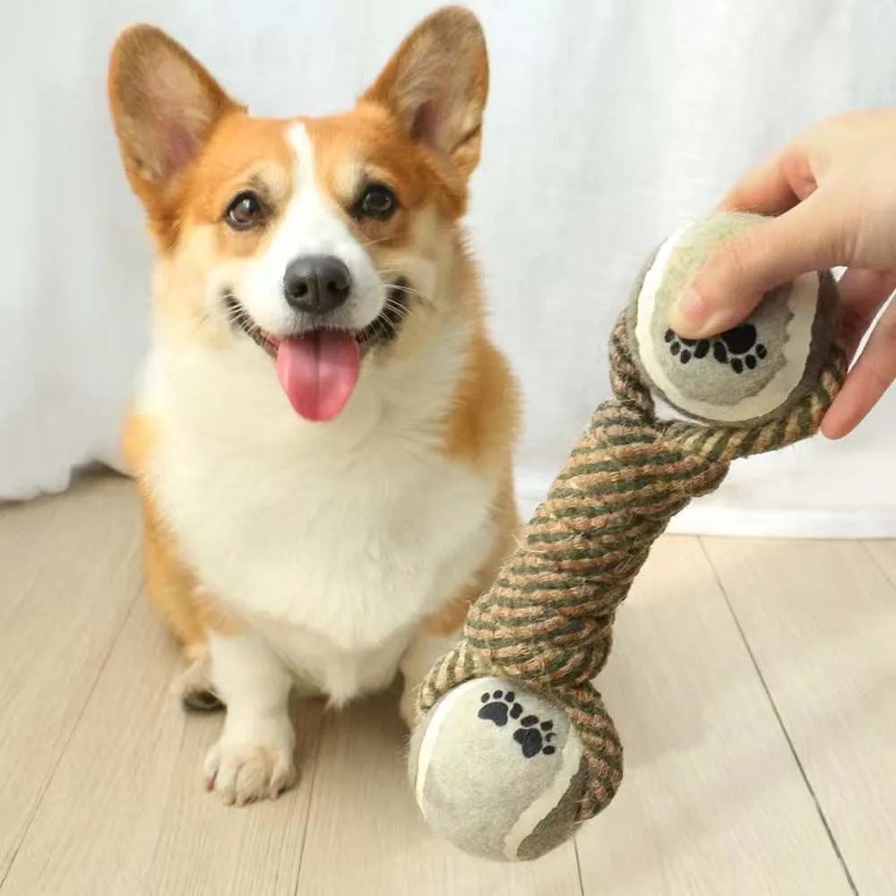 Pet Chew Toy Rope Tennis Dumbbell Rubber Ball Dog Interactive