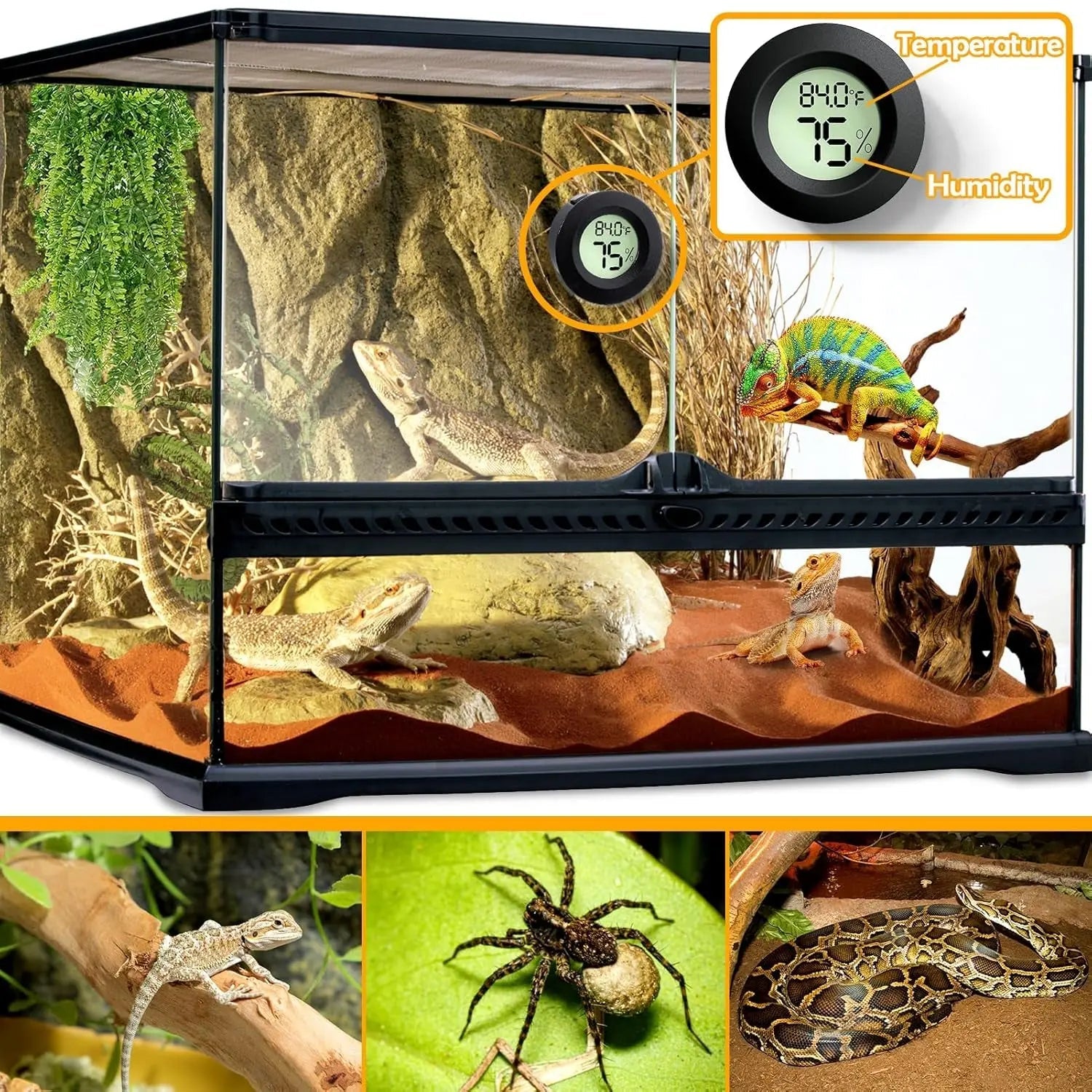 2 Pack Reptile Thermometer Hygrometer Digital Tank Gauge Accurate