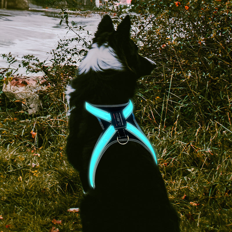 Adjustable Reflective LED Pet Harness Chest Vest Collar Traction Set
