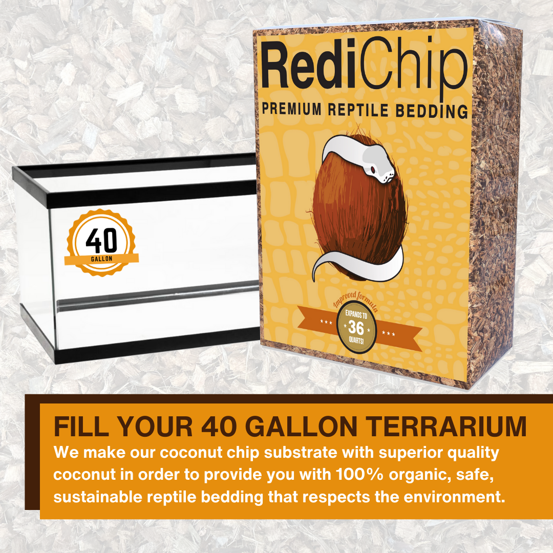 Premium Medium Sized Coconut Chips; Ready to Use