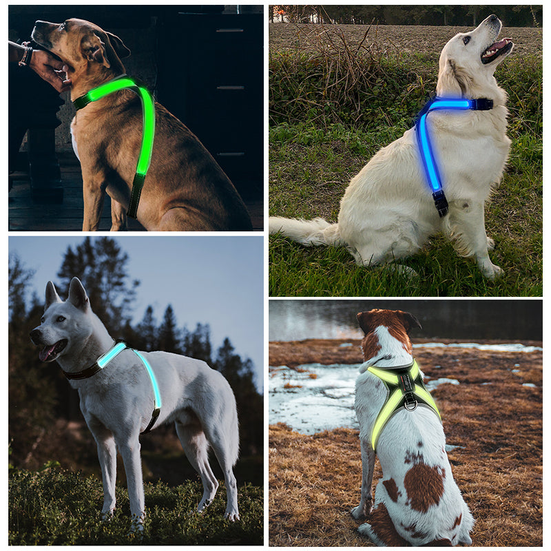 Adjustable Reflective LED Pet Harness Chest Vest Collar Traction Set