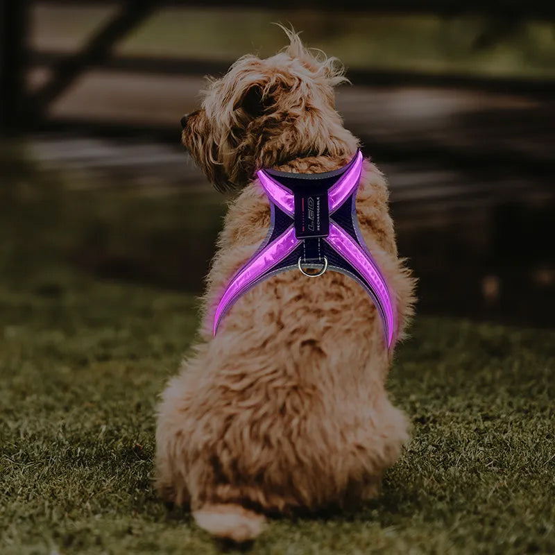 Adjustable Reflective LED Pet Harness Chest Vest Collar Traction Set