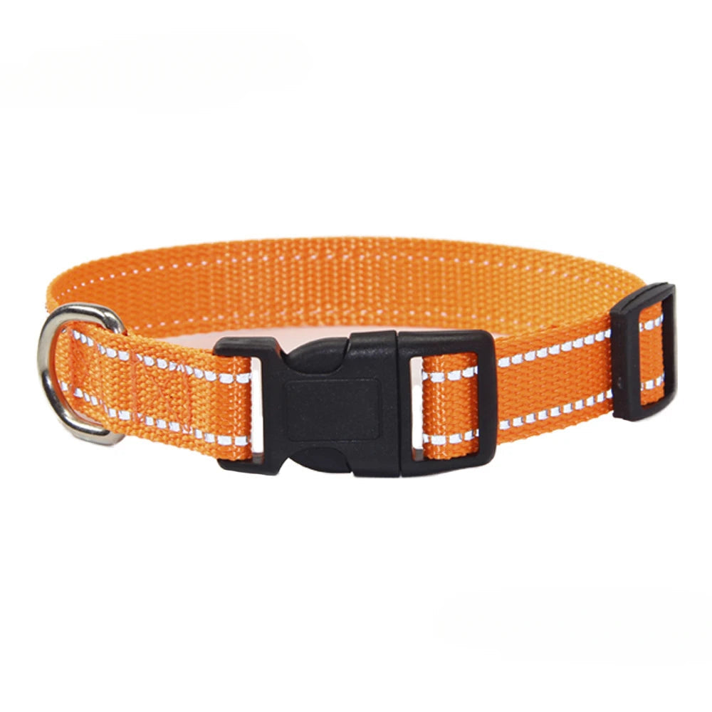 Nylon Dog Collar Leash Set Small Medium Large Dogs Accessories