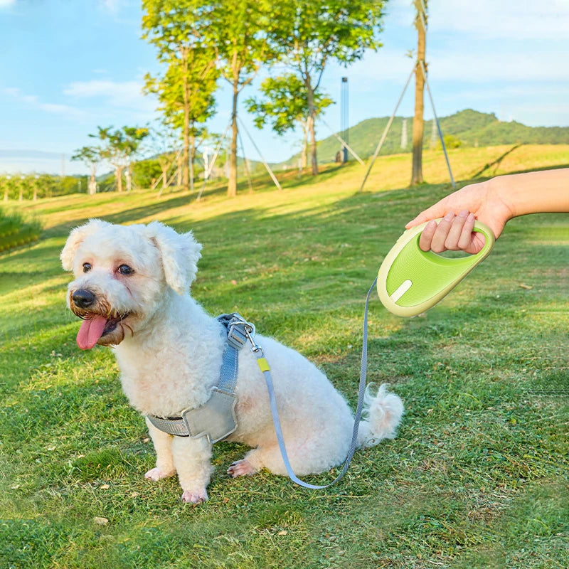 3m Retractable Pet Leash Nylon Durable Walking Lead for Small