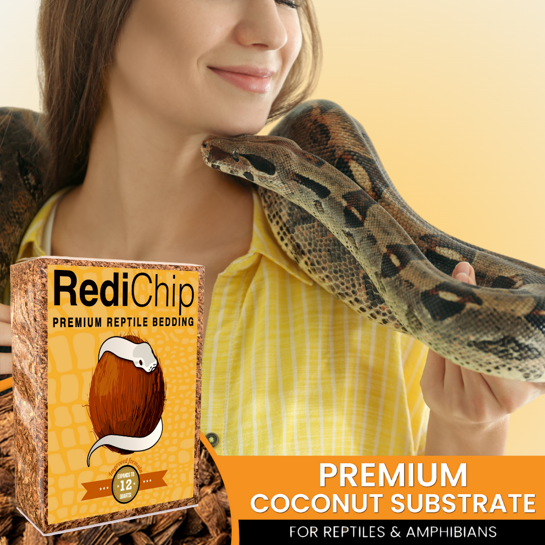 Premium Medium Sized Coconut Chips; Ready to Use