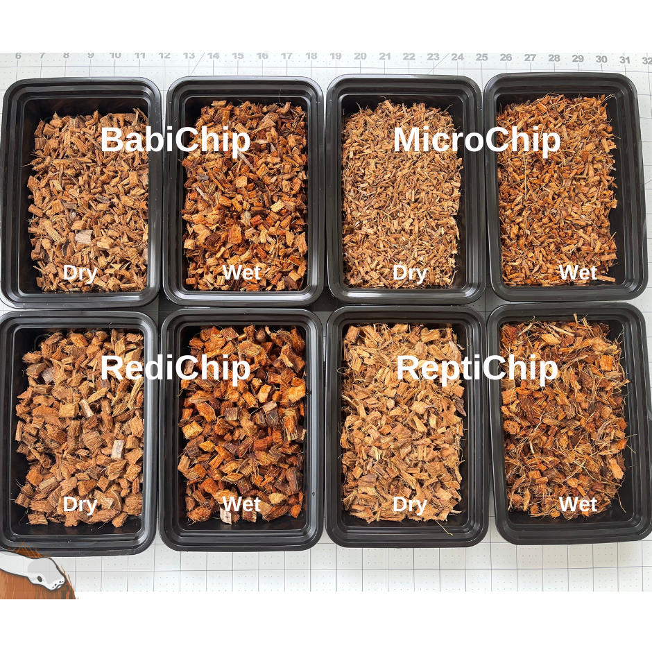 Premium Medium Sized Coconut Chips; Ready to Use