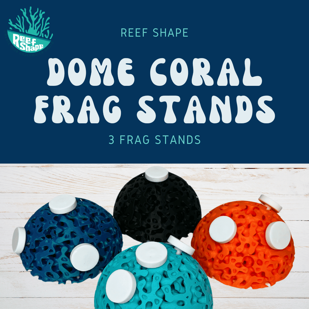 Aquarium Dome Coral Frag Stand Reef Replica Display Base Holder