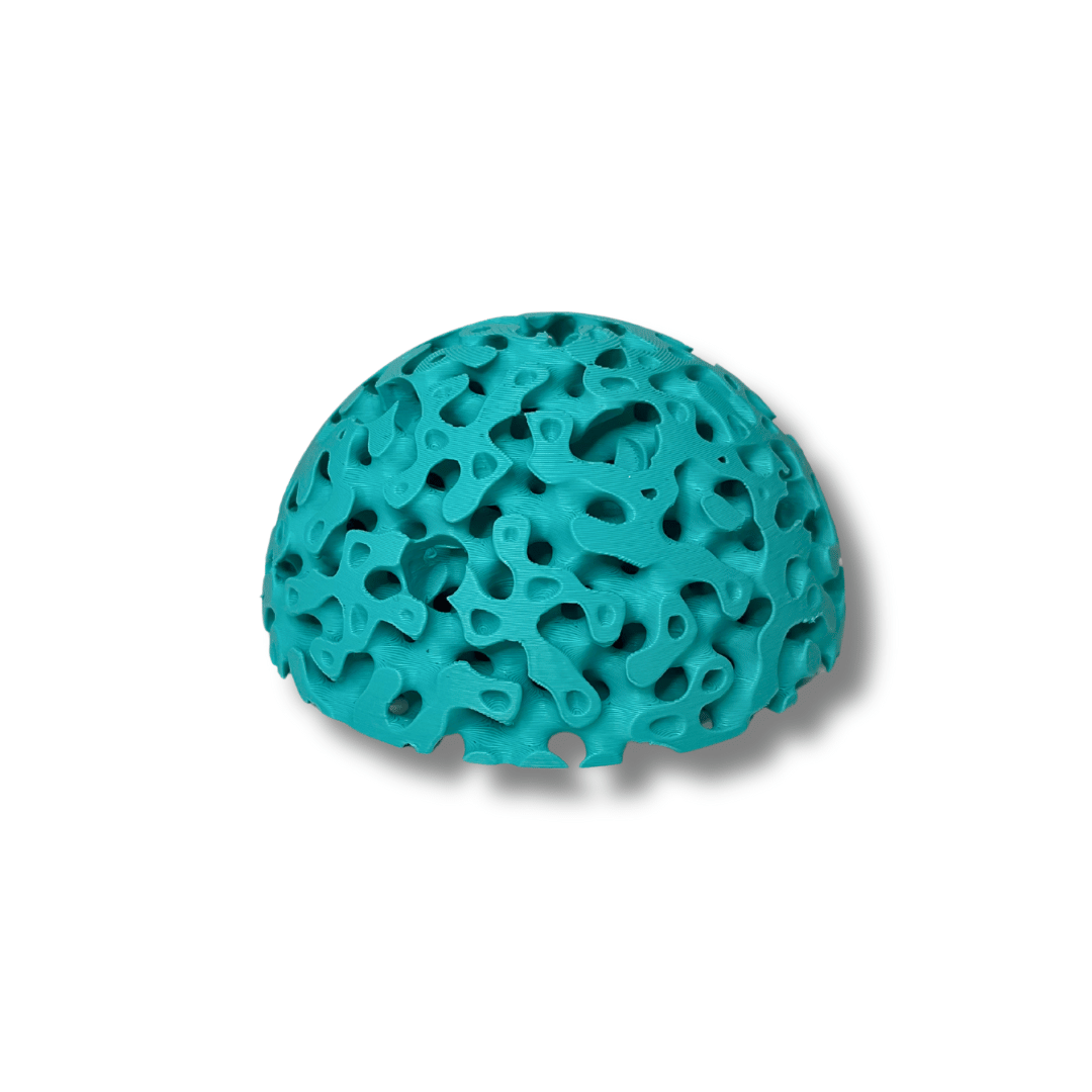 Aquarium Dome Coral Frag Stand Reef Replica Display Base Holder