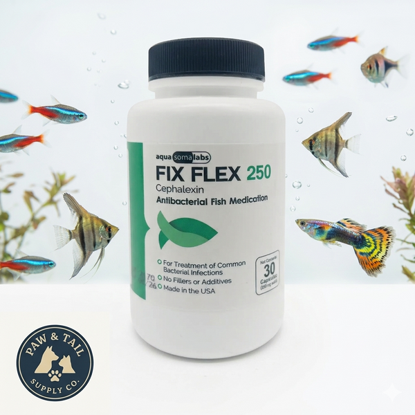 Ceph 250mg Capsules for Aquarium Fish – 30 Count – Water Care Support