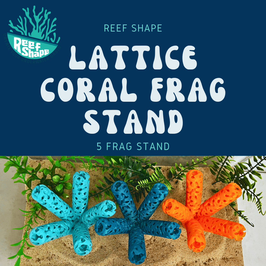 Aquarium Coral Frag Stand Branch Lattice Structure Five Mounts Holder