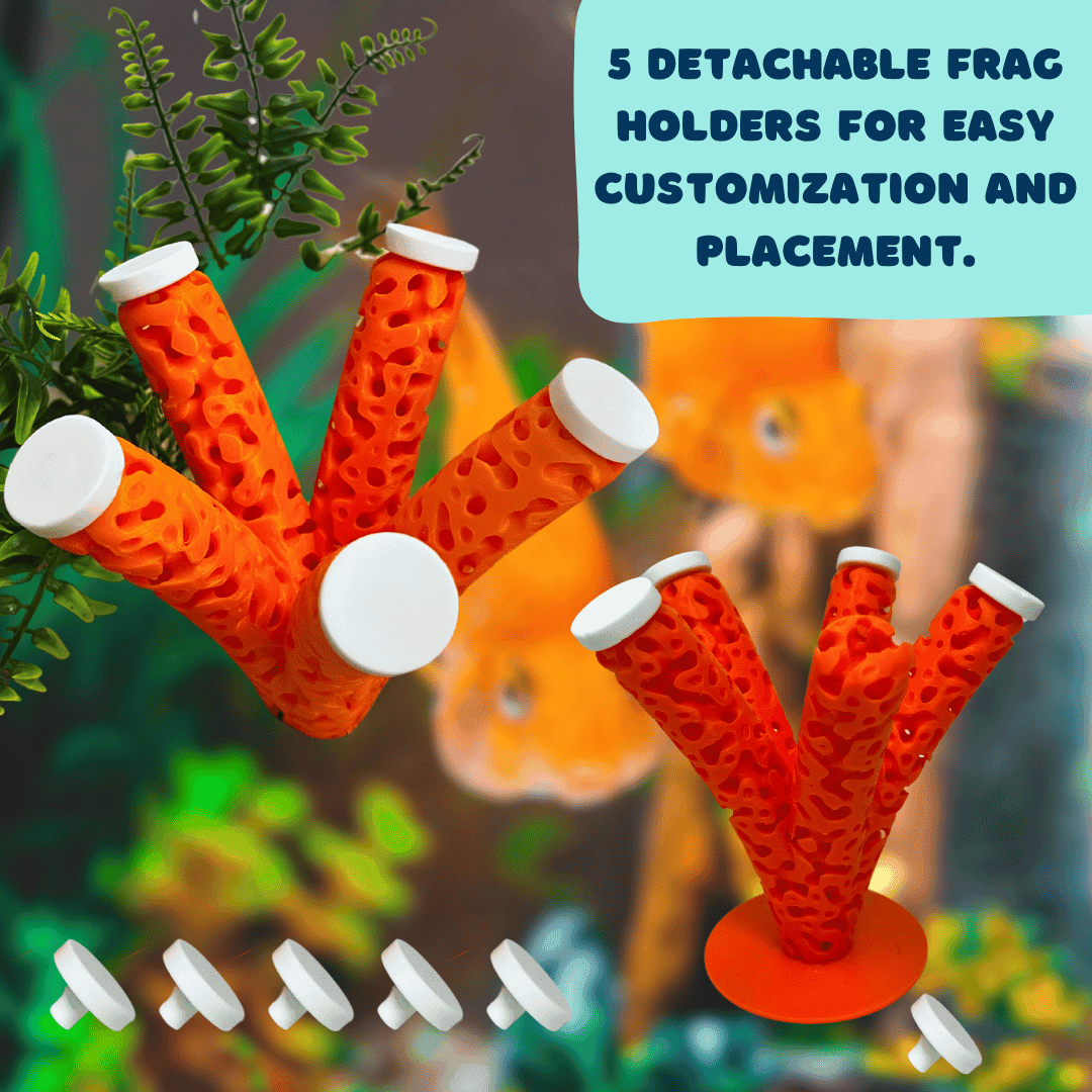 Aquarium Coral Frag Stand Branch Lattice Structure Five Mounts Holder