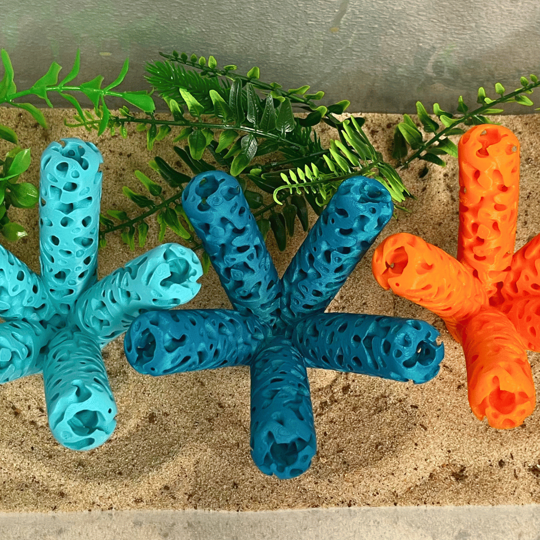 Aquarium Coral Frag Stand Branch Lattice Structure Five Mounts Holder