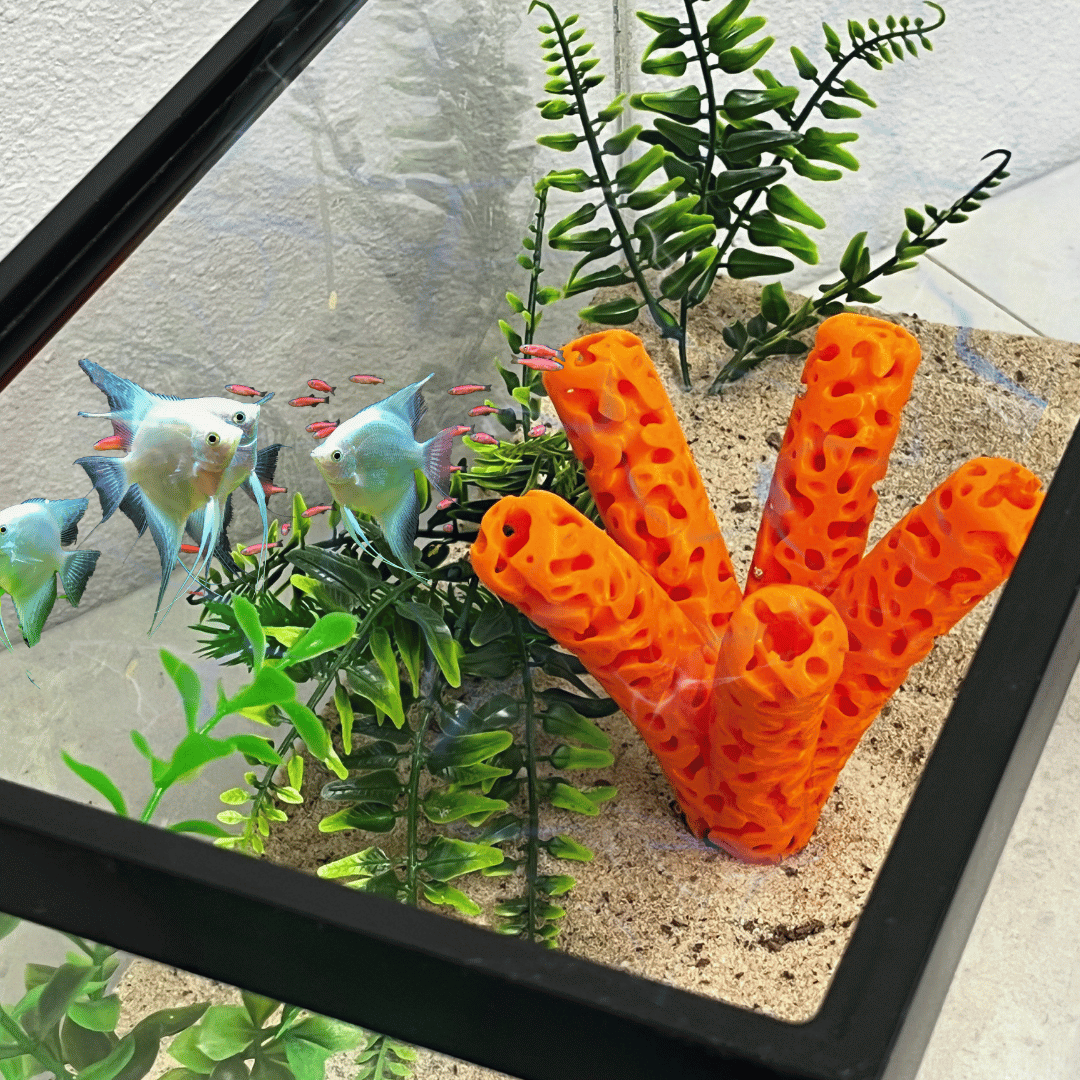 Aquarium Coral Frag Stand Branch Lattice Structure Five Mounts Holder