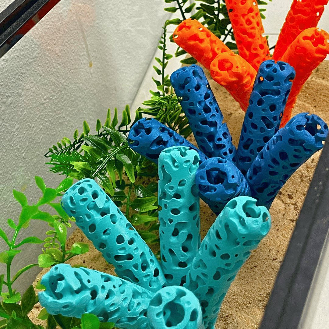 Aquarium Coral Frag Stand Branch Lattice Structure Five Mounts Holder