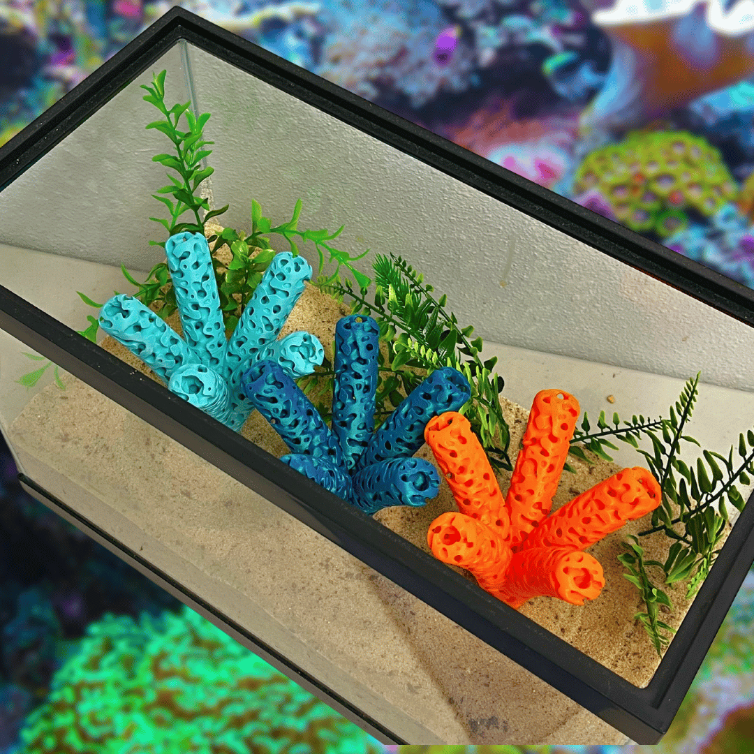 Aquarium Coral Frag Stand Branch Lattice Structure Five Mounts Holder