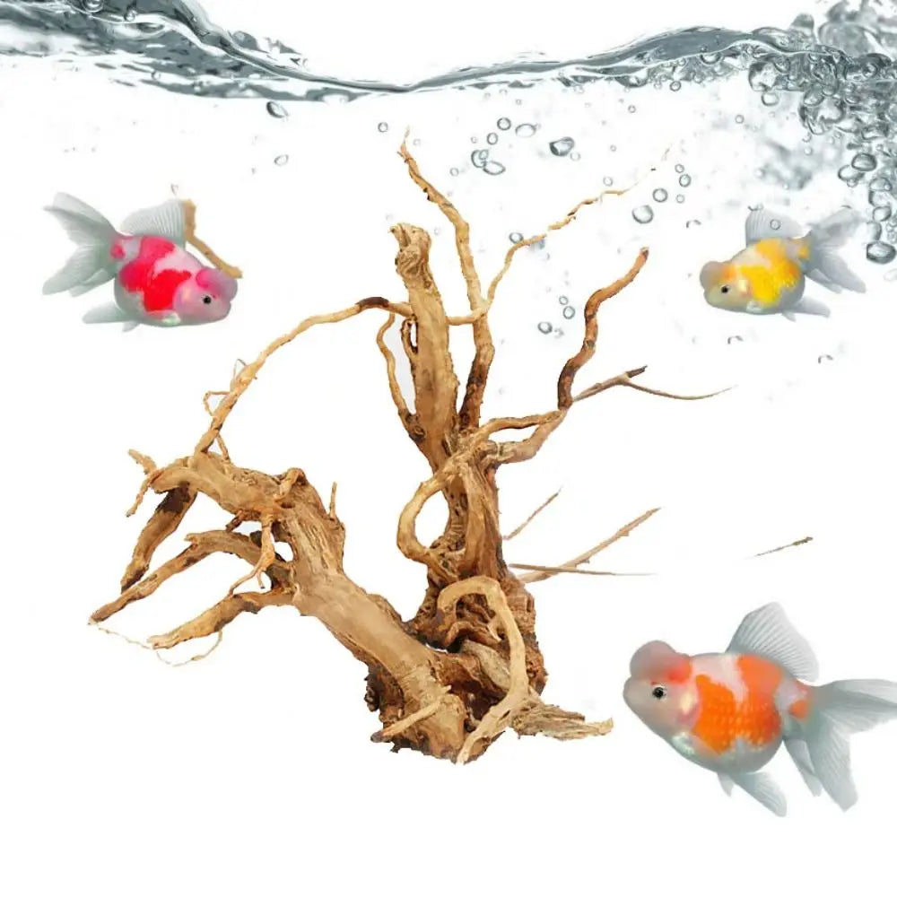 Large Natural Driftwood Tree Stump Decor for Aquariums Terrariums