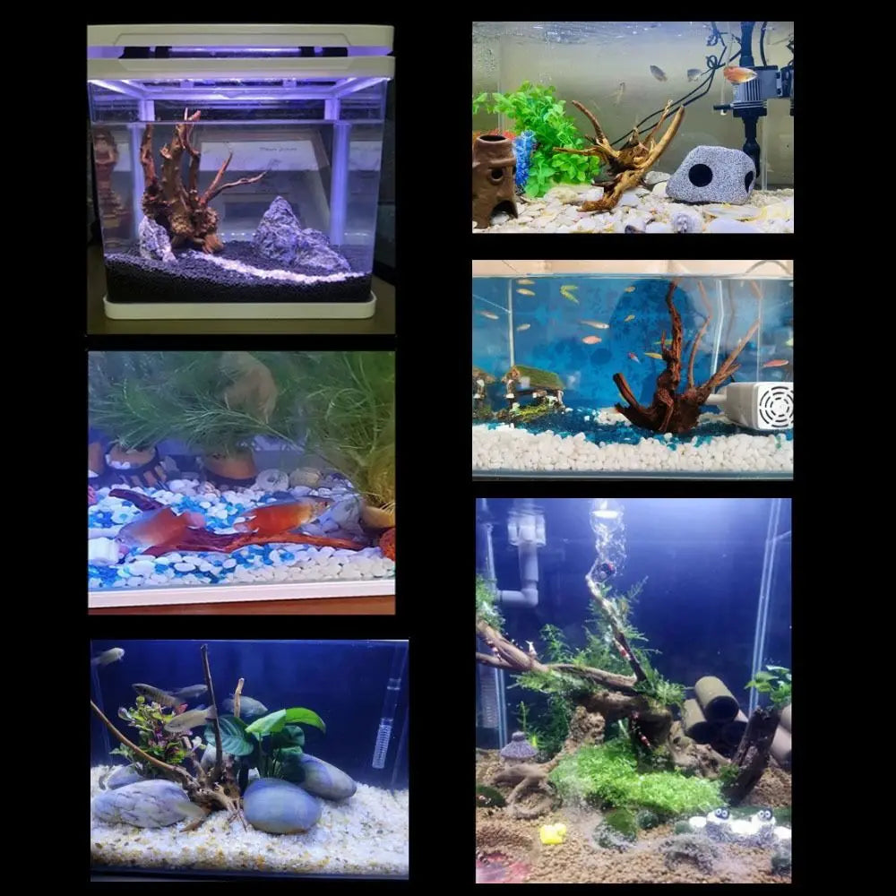 Large Natural Driftwood Tree Stump Decor for Aquariums Terrariums