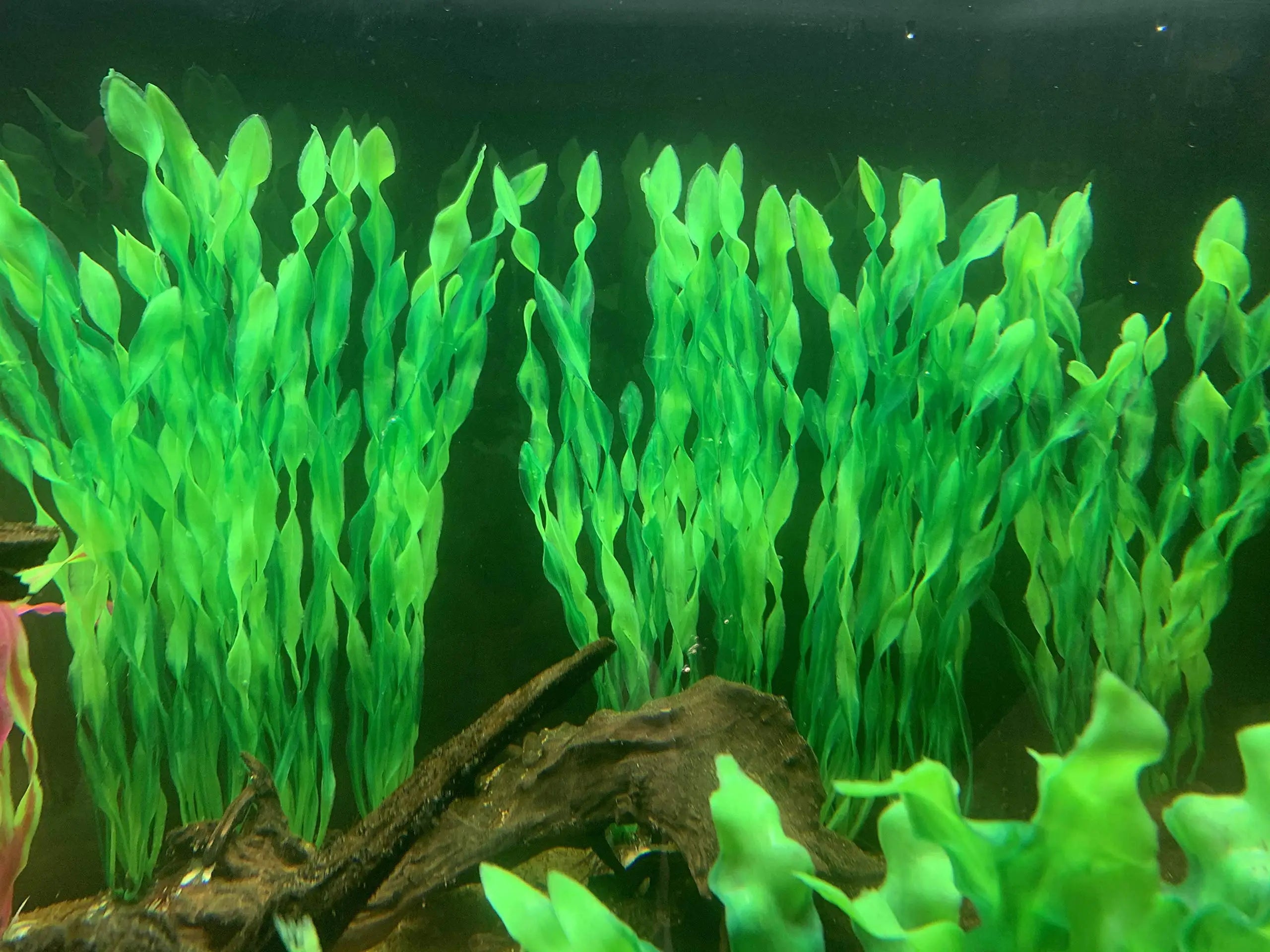 Artificial Aquarium Plants Plastic Seaweed Fish Tank Decoration Assorted Pack