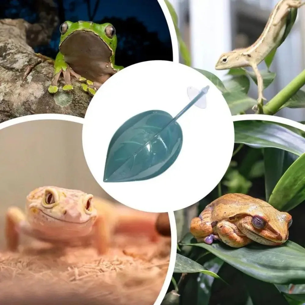 Frog Habitat Leaf Suction Cup Basking Terrace for Reptiles