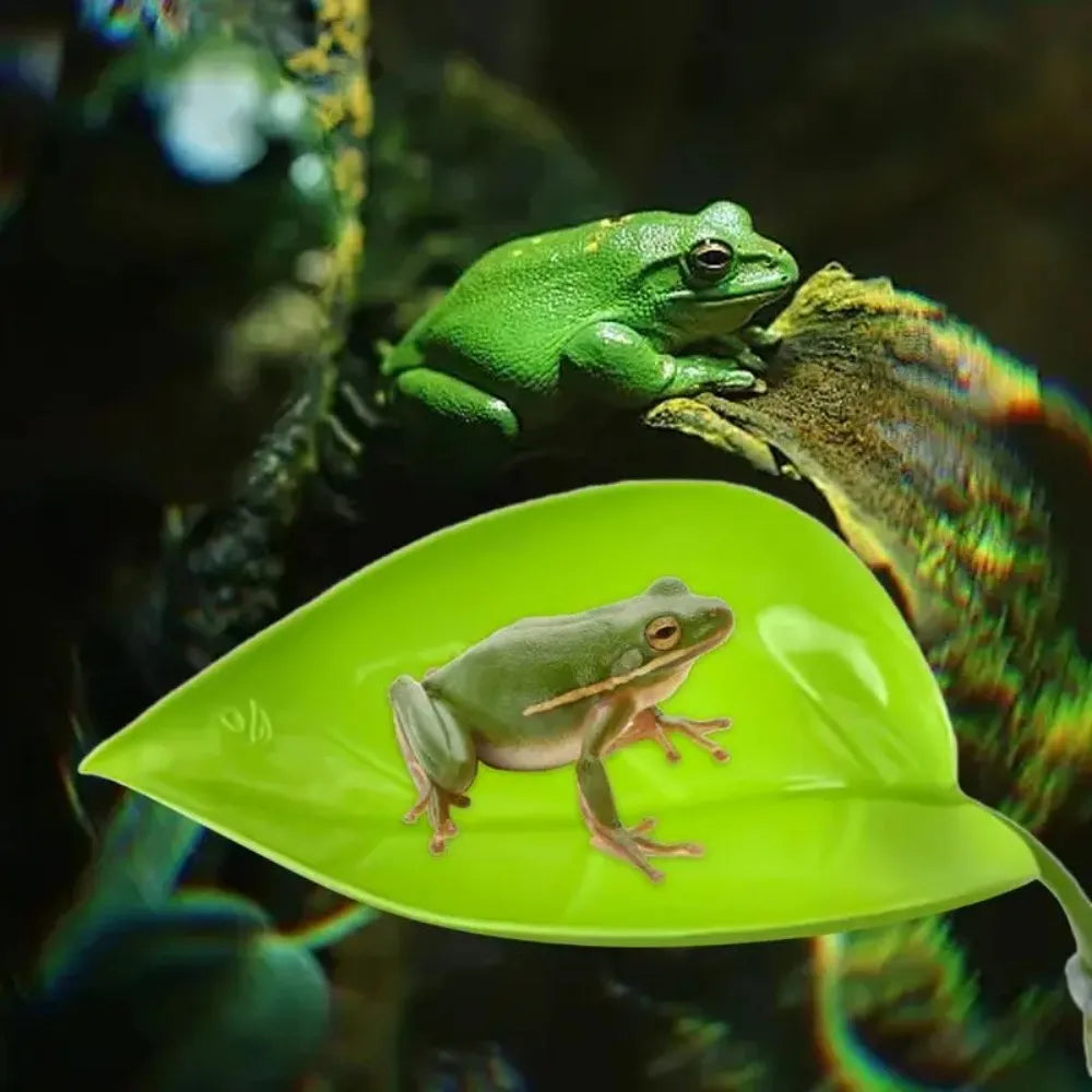 Frog Habitat Leaf Suction Cup Basking Terrace for Reptiles