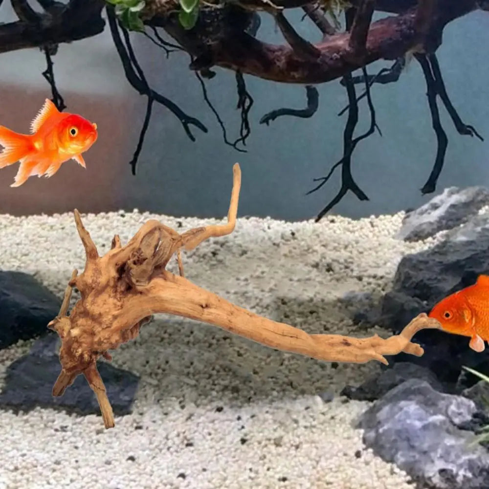 Large Natural Driftwood Tree Stump Decor for Aquariums Terrariums