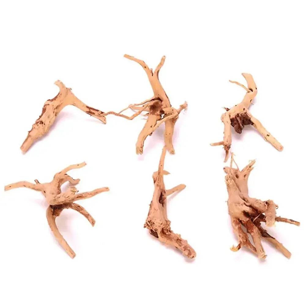 Large Natural Driftwood Tree Stump Decor for Aquariums Terrariums