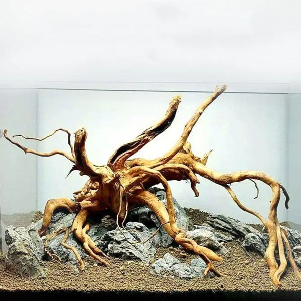 Large Natural Driftwood Tree Stump Decor for Aquariums Terrariums